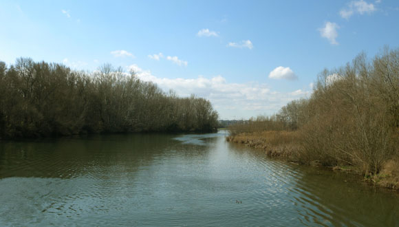 El riu Segre al seu pas per Lleida