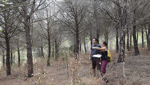 Experts analyze the dry forests. Credit: Jose Luís Ordóñez.