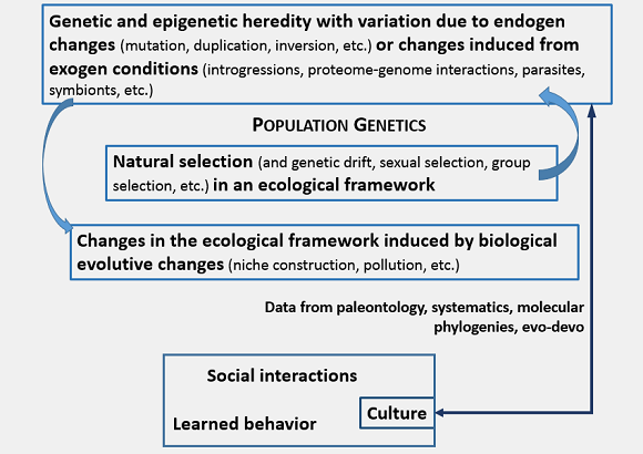 Elements for a General Theory of Evolution