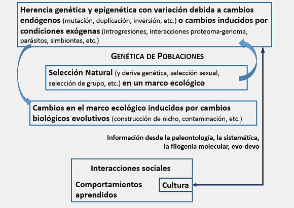 Elementos de una Teoría General de la Evolución.