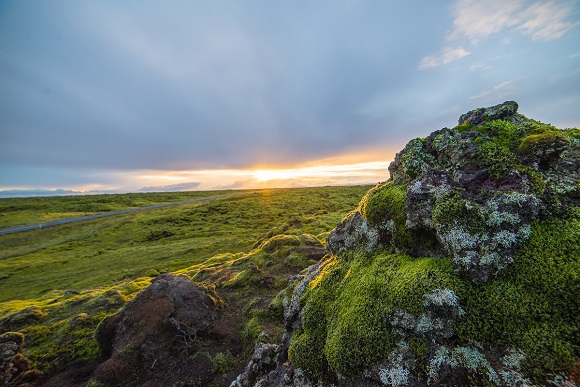 tundraiceland