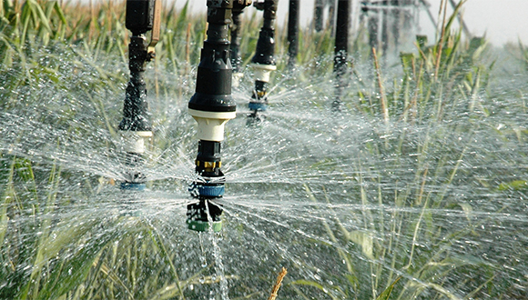 WaterInnEU vol valoritzar la innovació desenvolupada en projectes científics europeus (Foto: agrilifetoday):