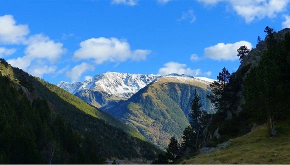 Paisatge dels Pirineus andorrans. Font: Facebook de 'Wildlife in the changing Andorran Pyrenees'