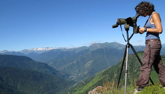 Wildlife in the changing French Pyrenees