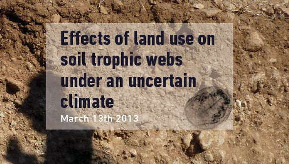 Soil biodiversity functions and environmental services in Mediterranean forests