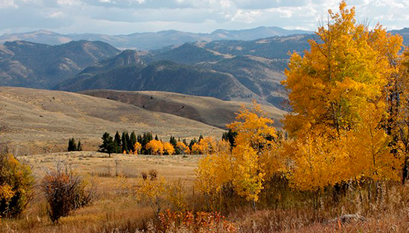 Paisatge típic del Greater Yellowstone Ecosystem,