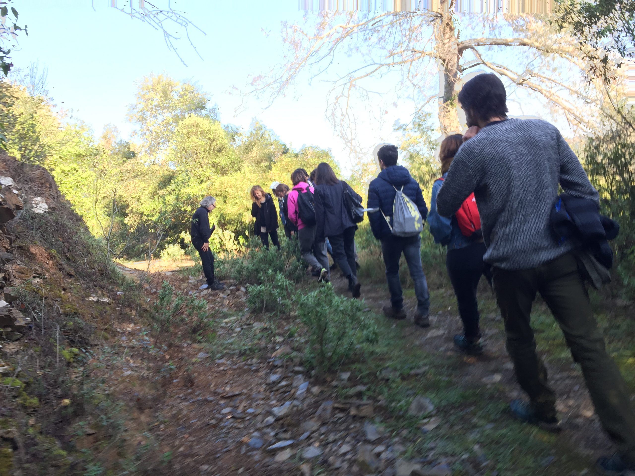 L'excursió comença caminant per collserola