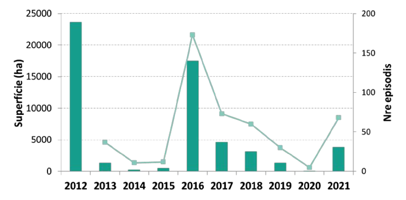 Evolució de la superfície i número d’episodis de nova afectació entre els anys 2012 i 2021. Degut als canvis de protocol, la superfície del 2012 és aproximada i no ha estat possible determinar-ne el nombre d’episodis nous.