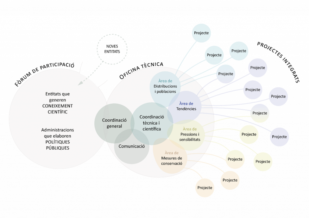 Esquema organitzatiu de l'Observatori del Patrimoni Natural i la Biodiversitat de Catalunya