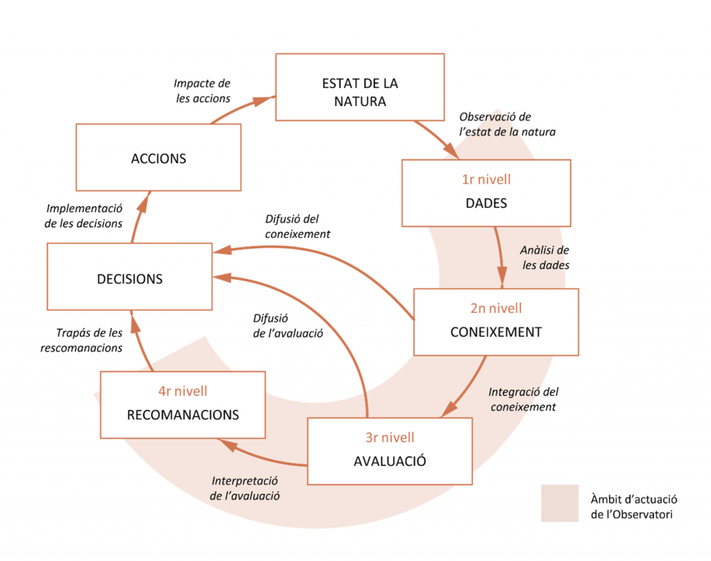 L'engranatge en la roda de decisions