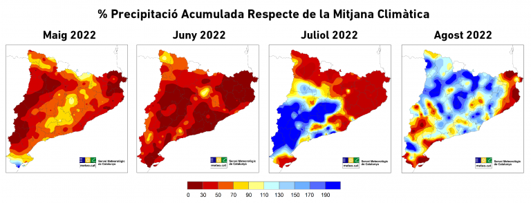 Mapes del percentatge de precipitació respecte de la mitjana climàtica (1961-1990) de maig fins a l’agost de 2022. Es pot observar la sequera extrema en alguns punts del territori, especialment al nord-est, i una precipitació més generosa en general a l’agost. Font: Servei Meteorològic de Catalunya.