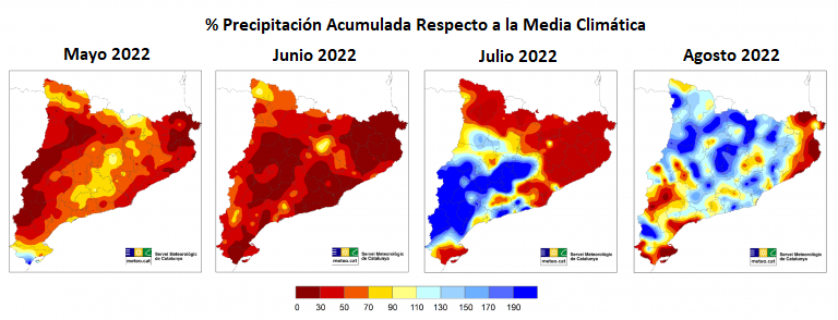 Mapas del porcentaje de precipitación respecto a la media climática (1961-1990) de mayo hasta agosto de 2022. Se puede observar la sequía extrema en algunos puntos del territorio, especialmente en el noreste, y una precipitación más generosa en general en agosto. Fuente: Servicio Meteorológico de Cataluña.