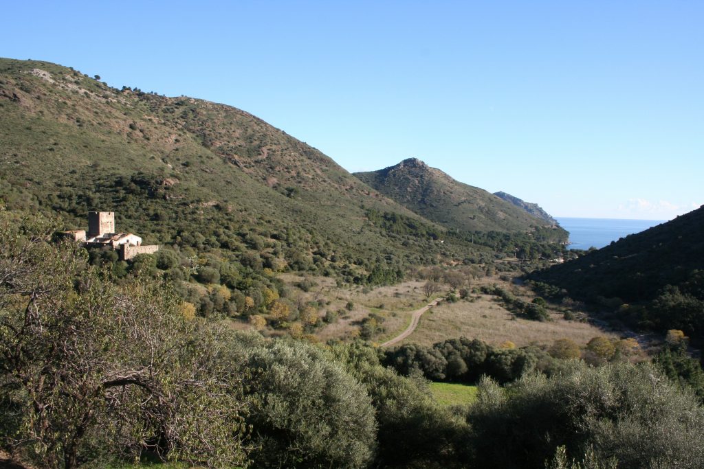 El abandono rural ha sido muy importante en el Cap de Creus. Foto: Ponç Feliu