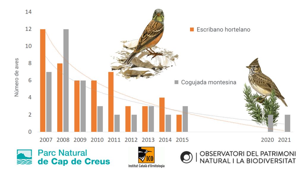 Pérdida poblacional de dos especies de aves de espacios abieros en Sant Pere de Rodes (Parc Natural del Cap de Creus), con los datos disponibles de los años previos al incendio de julio de 2021. Fuente: Seguiment Ocells Comuns a Catalunya. 