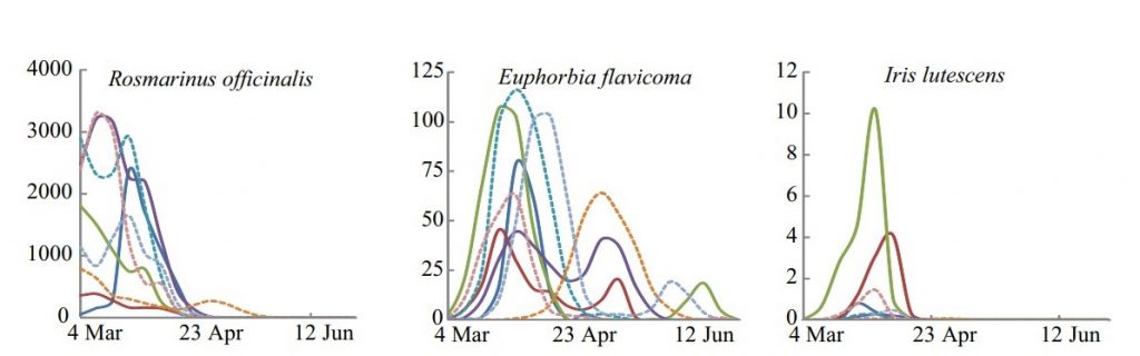 Cada línea de color indica un año. Es interesante ver como los picos de floración son unos años muy altos y otros muchos bajos (y en función de esto la producción de miel será más alta o más baja). También hay que remarcar cómo el pico de floración se va trasladando de mes a medida que avanzan los años. CC: Flo te al, 2018.