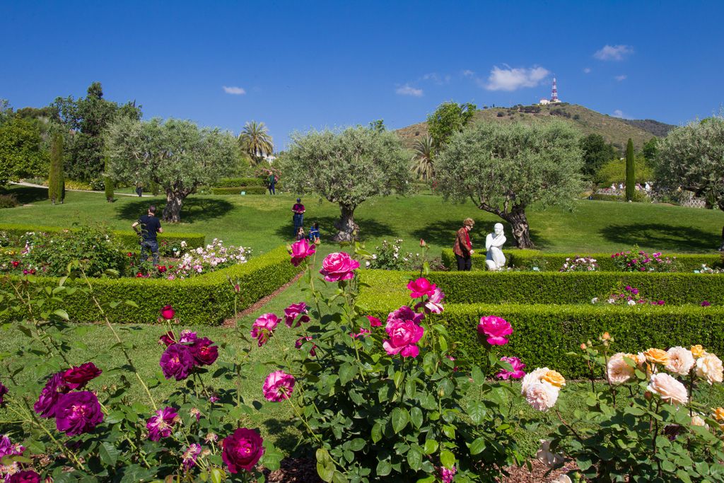 Parque de Cervantes. Rosales y escultura Serenitat (serenidad), de Eulàlia Fàbregas de Sentmenat. Imagen: Òscar Giralt 