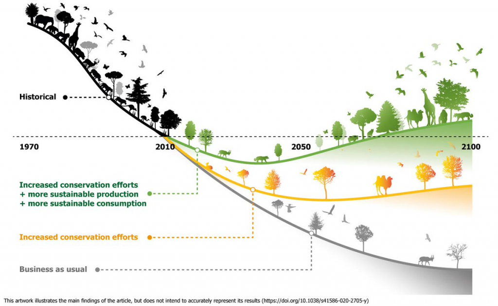 Il·lustració que representa les principals conclusions d'un estudi realitzat sobre l'evolució de la biodiversitat d'acord amb diferents estratègies. Autor: Adam Islaam (https://doi.org/10.1038/s41586-020-2705-y).