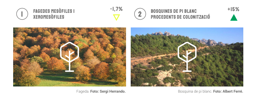 Estat de conservació dels hàbitats. Font: Informe Estat Natura 2020