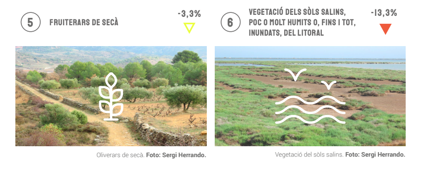 Estat de conservació dels hàbitats. Font: Informe Estat Natura 2020