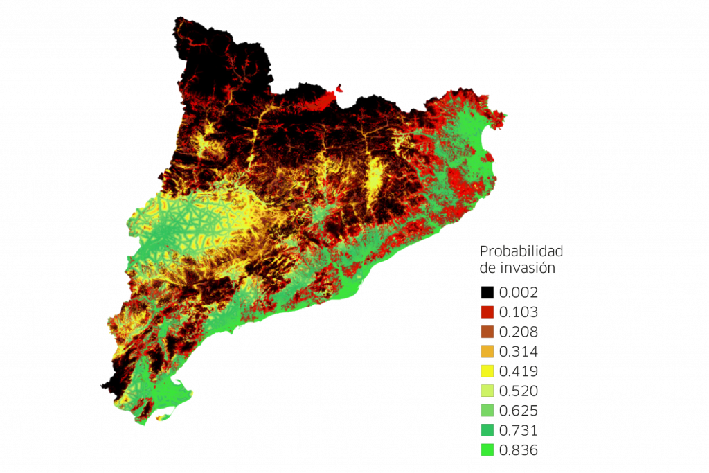 Probabilidad de invasión de Cataluña por plantas exóticas. Fuente: Andreu y Pino, 2013.