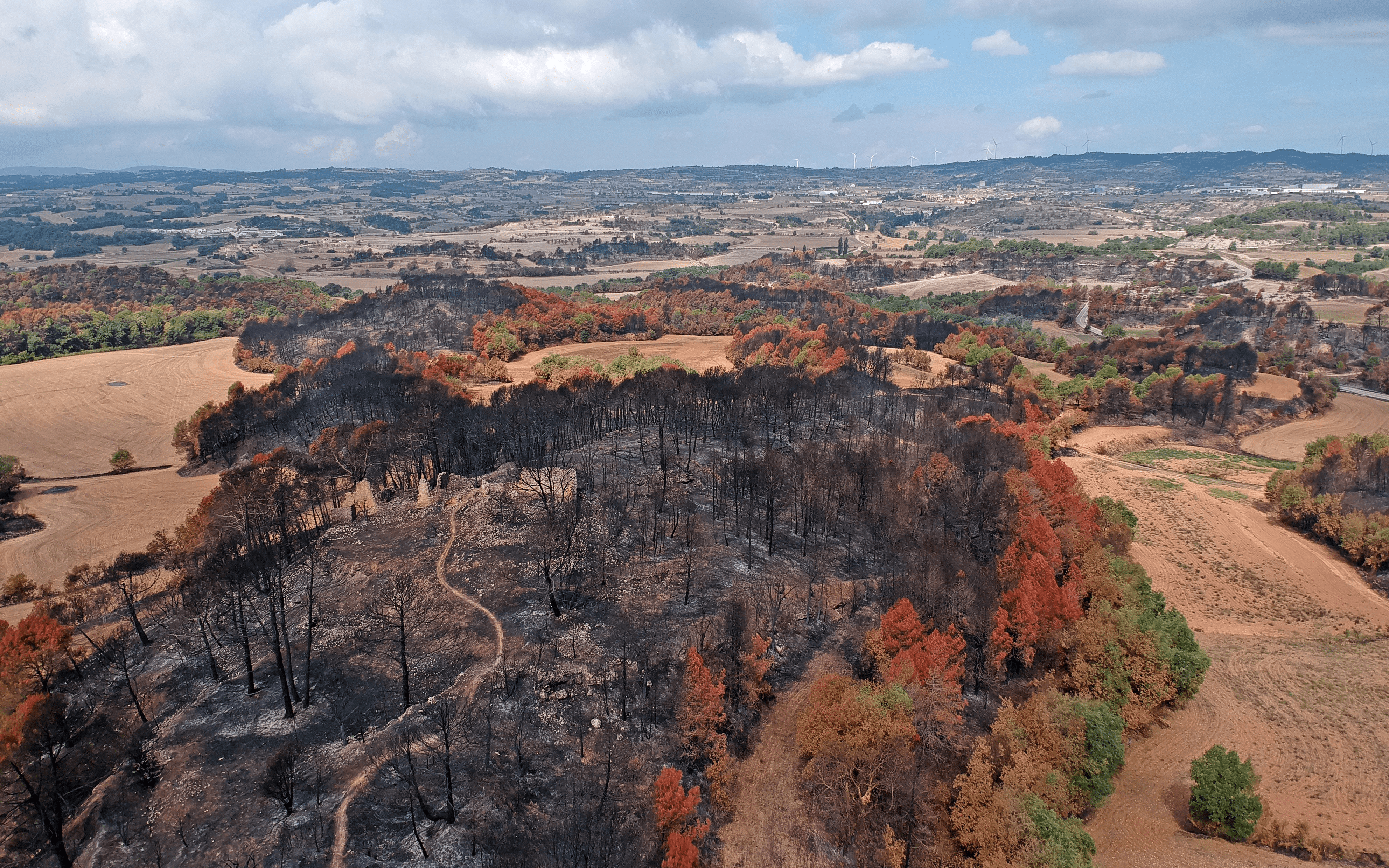 Consequencies dels incendis forestals. Foto: Lluís Brotons.