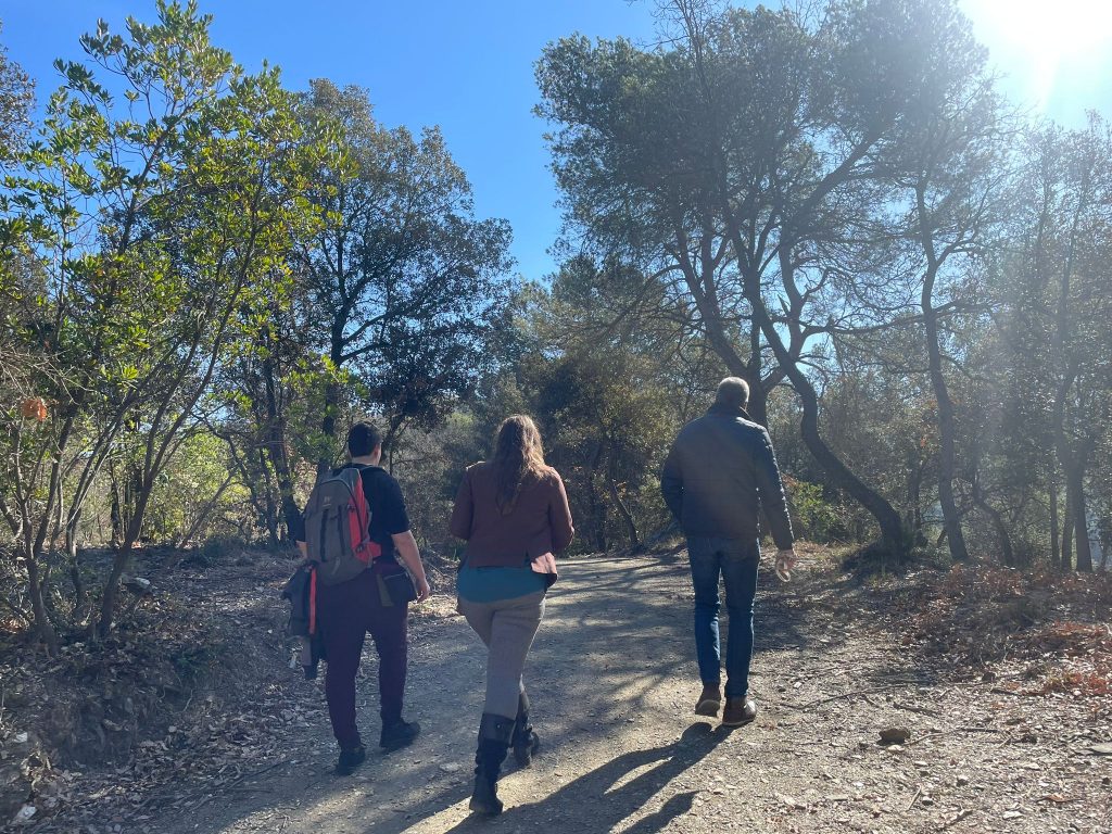 La alianza entre el CREAF y Barraquer es una oportunidad para la colaboración y el apoyo económico a la investigación en Ecología Forestal Aplicada. Foto: Alba Gimbert.