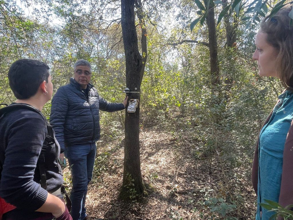 Joan Pino realizando una explicación durante la visita de Barraquer a los bosques que rodean las instalaciones de Can Balasc. Foto: Alba Gimbert.