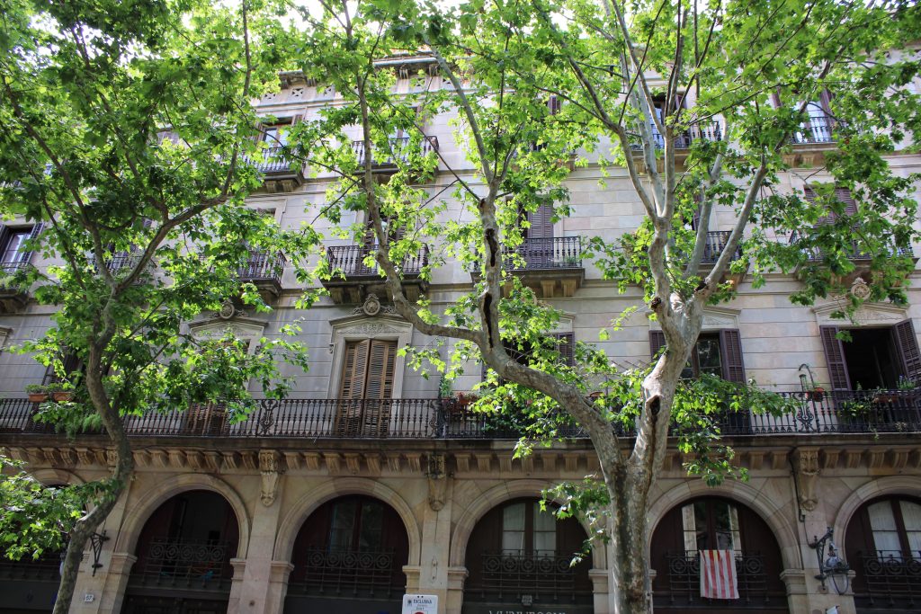 La nova campanya recull també les percepcions envers el verd urbà que les envolta. Foto: Corina Basnou.