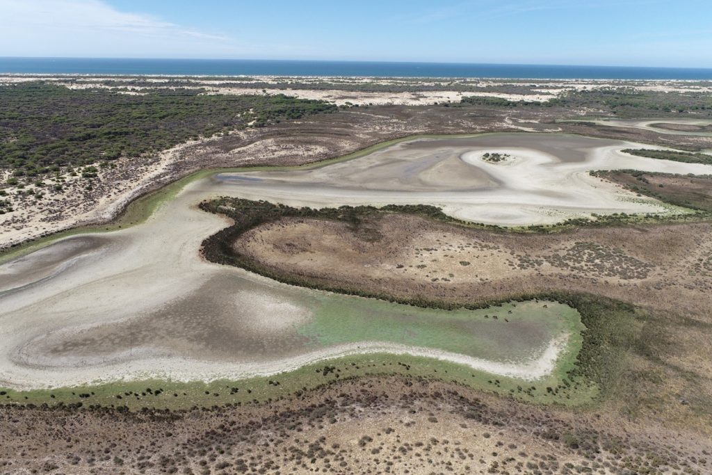 Llacuna de Santa Olalla, al setembre de 2022. Foto: Ricardo Díaz Delgado (EBD/CSIC).