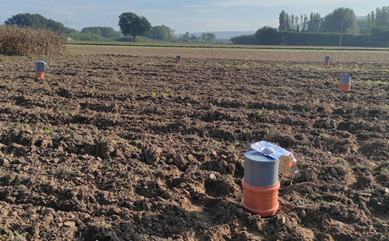 Medidas de las emisiones de gases de efecto invernadero post-labrada en parcelas enmendadas con barros desde 1997 en el IRTA Mas Badia (Tallada d'Empordà).