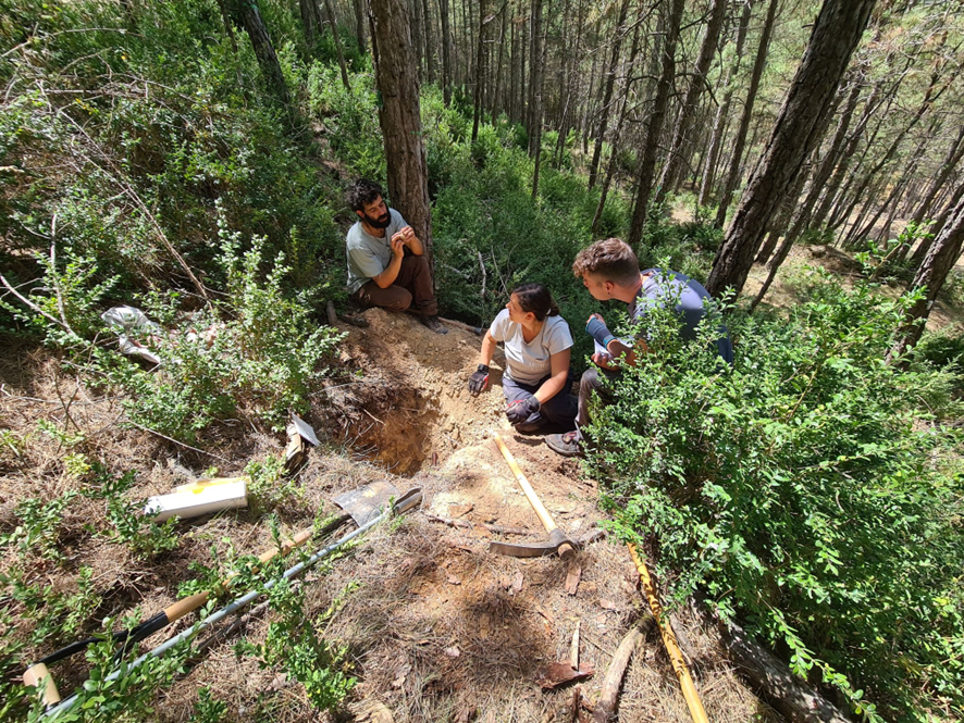 Perfils de sòl per a l’estudi dels estocs de carboni de l’experiment del CTFC a Llobera, amb tractaments d’aclarida i crema prescrita aplicats el 2016. Foto: Xavier Domene.