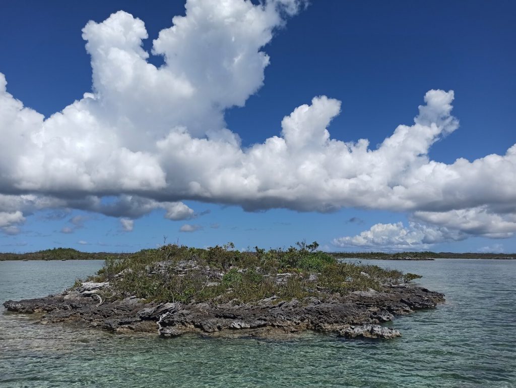 One of the small Caribbean islands on which the brown anole lizards were studied. Photo: Oriol Lapiedra.