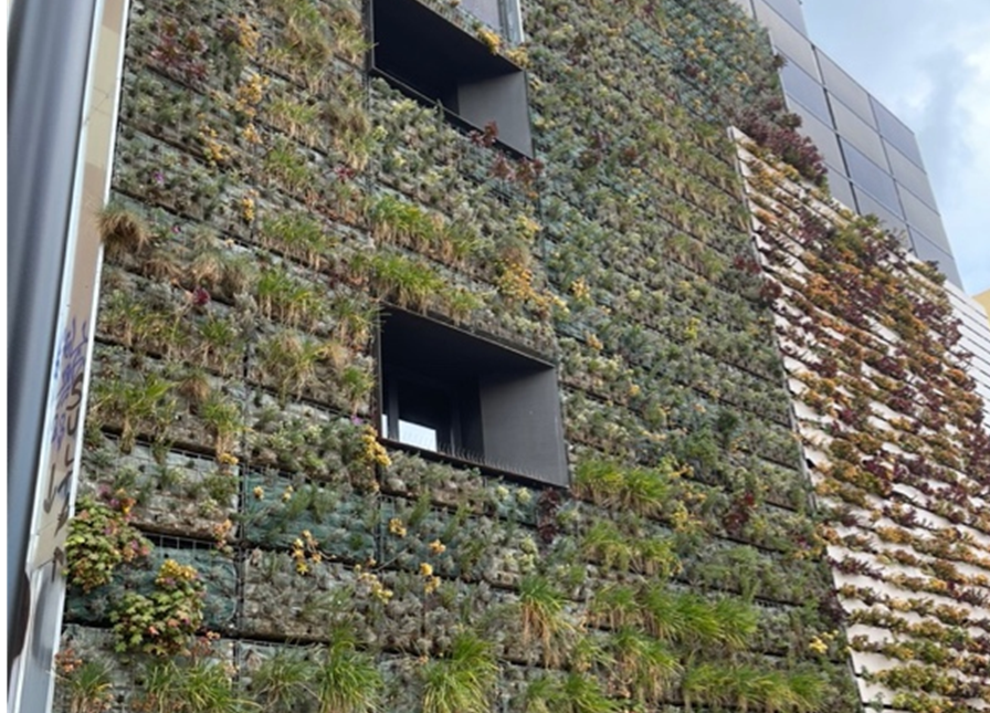 Los jardines verticales, como éste de un edificio del barrio de Gracia en Barcelona, ​​o las azoteas verdes, combinadas con placas solares, serán mucho más frecuentes en los próximos años. Foto: Jaume Terradas