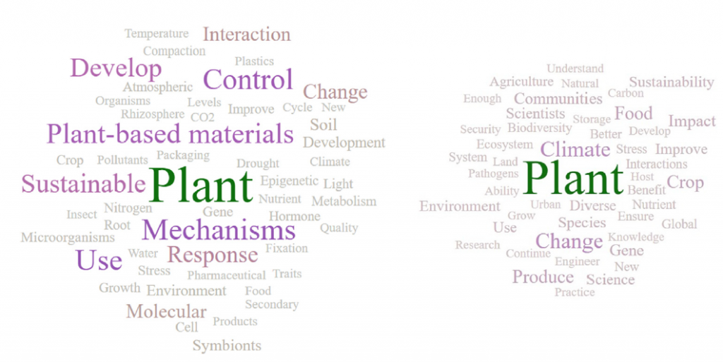 Núvols amb les 50 paraules més freqüents en les 100 preguntes importants a les quals s'enfronta l'estudi de les plantes: a l'esquerra les obtingudes mitjançant ChatGPT i a la dreta les provinents en els investigadors. Autor: Agathokleous, E. et al.