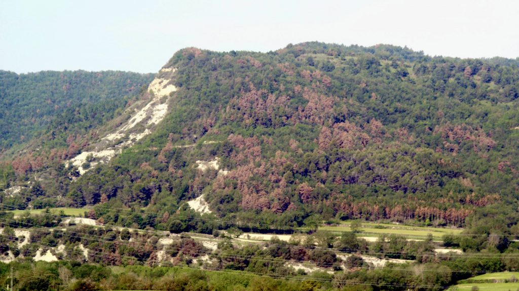 Observation of a high degree of drought in Osona. Source: anonymous user of AlertaForestal.