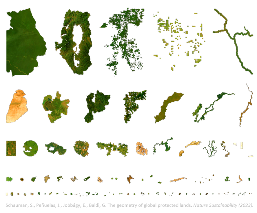 Imatge: La forma de les àrees protegides té profundes implicacions en la conservació de la naturalesa a llarg termini i la sostenibilitat global. Les àrees més grans i compactes (que allunyen les pressions humanes de l'interior protegit), són a països perifèrics o en vies de desenvolupament. A l'altre extrem, la majoria dels països desenvolupats tenen àrees protegides relativament petites i amb formes particularment complexes, perforades i fragmentades.