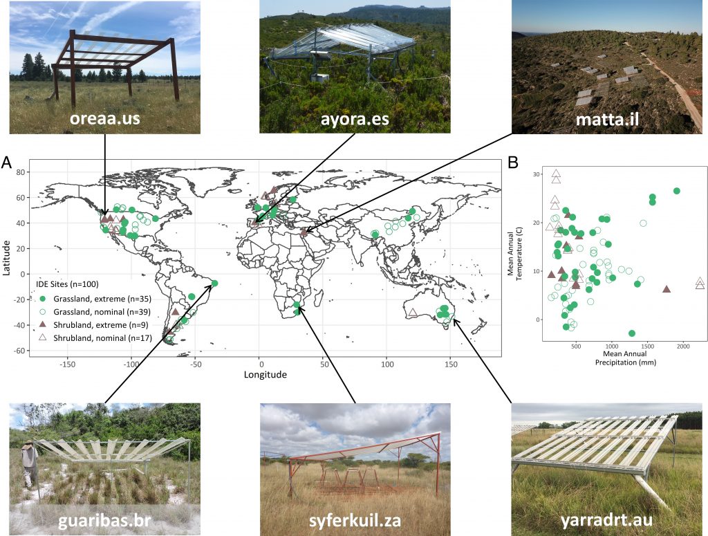  Extensió geogràfica i espai climàtic que abasta l'Experiment Internacional sobre Sequera. Els 100 pasturatges (cercles verds) i matolls (triangles marrons) inclosos en l'anàlisi abasten sis continents. Font: PNAS.