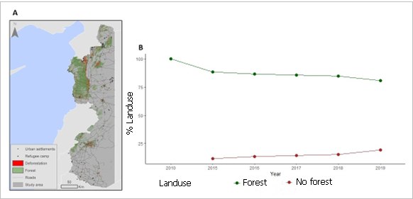 (A) Mapa que mostra l'abast de la desforestació entre el 2010 i el 2019, destacant les zones de pèrdua forestal. (B) Gràfic que il·lustra les tendències de les zones forestals i no forestals entre el 2010 i el 2019, mostrant els canvis al llarg de la dècada. Imatge: Angham Daiyoub.