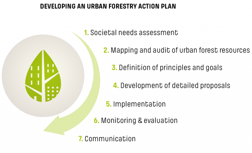 Passos per desenvolupar un pla d’acció de silvicultura urbana. Font: Uforest