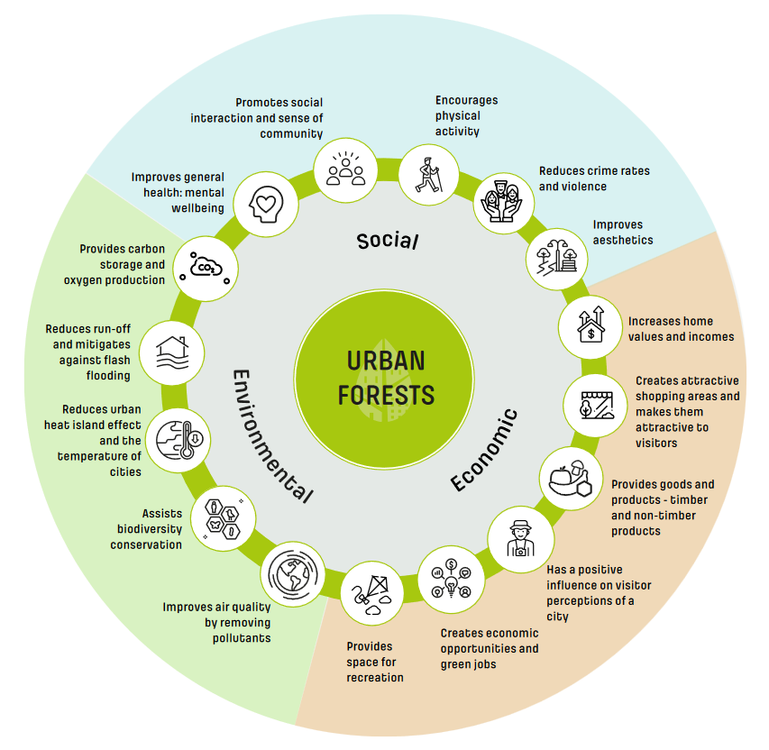 Beneficis dels boscos urbans (Font: adaptació d’UNECE per Uforest) 