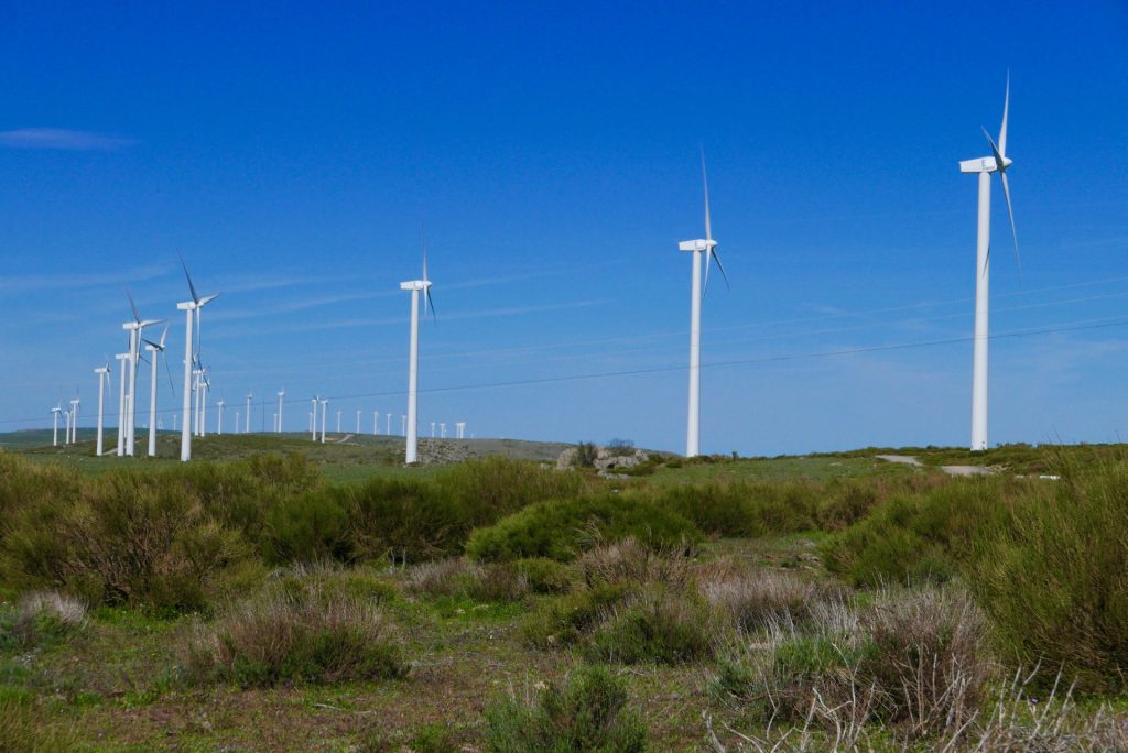 Campos de molinos eólicos situados en antigos pastos abandonados. Imagen: Paco Lloret