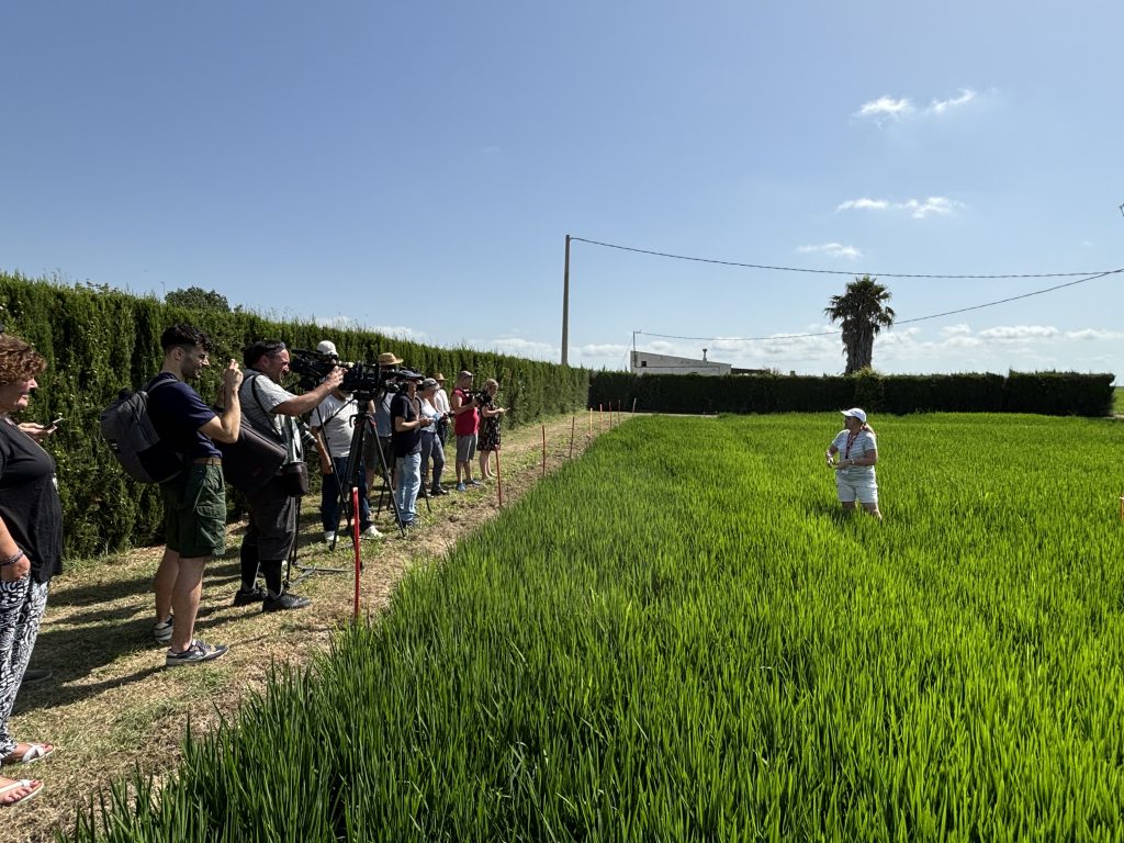 Roda premsa18 de juliol, a l’IRTA Amposta. Font: IRTA.