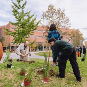 Plantada UAB CREAF