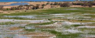 Aiguamolls de l'Empordà