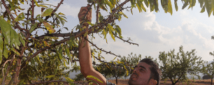 Persona en un cultivo de agricultura regenerativa