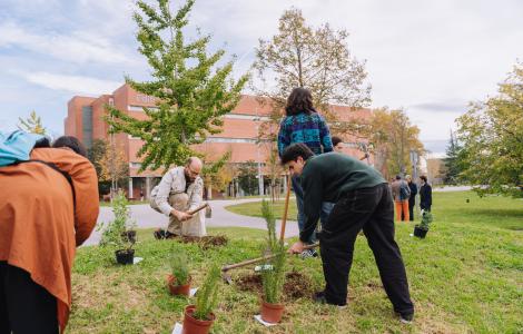 Plantada UAB CREAF