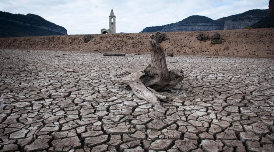 Sequera, el crític