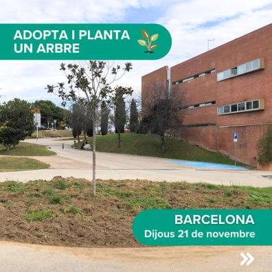 Adopta i planta un arbre, UAB CREAF