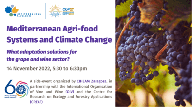 Mediterranean agri-food systems and climate change