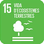 ODS 15 Vida d'ecosistemes terrestres